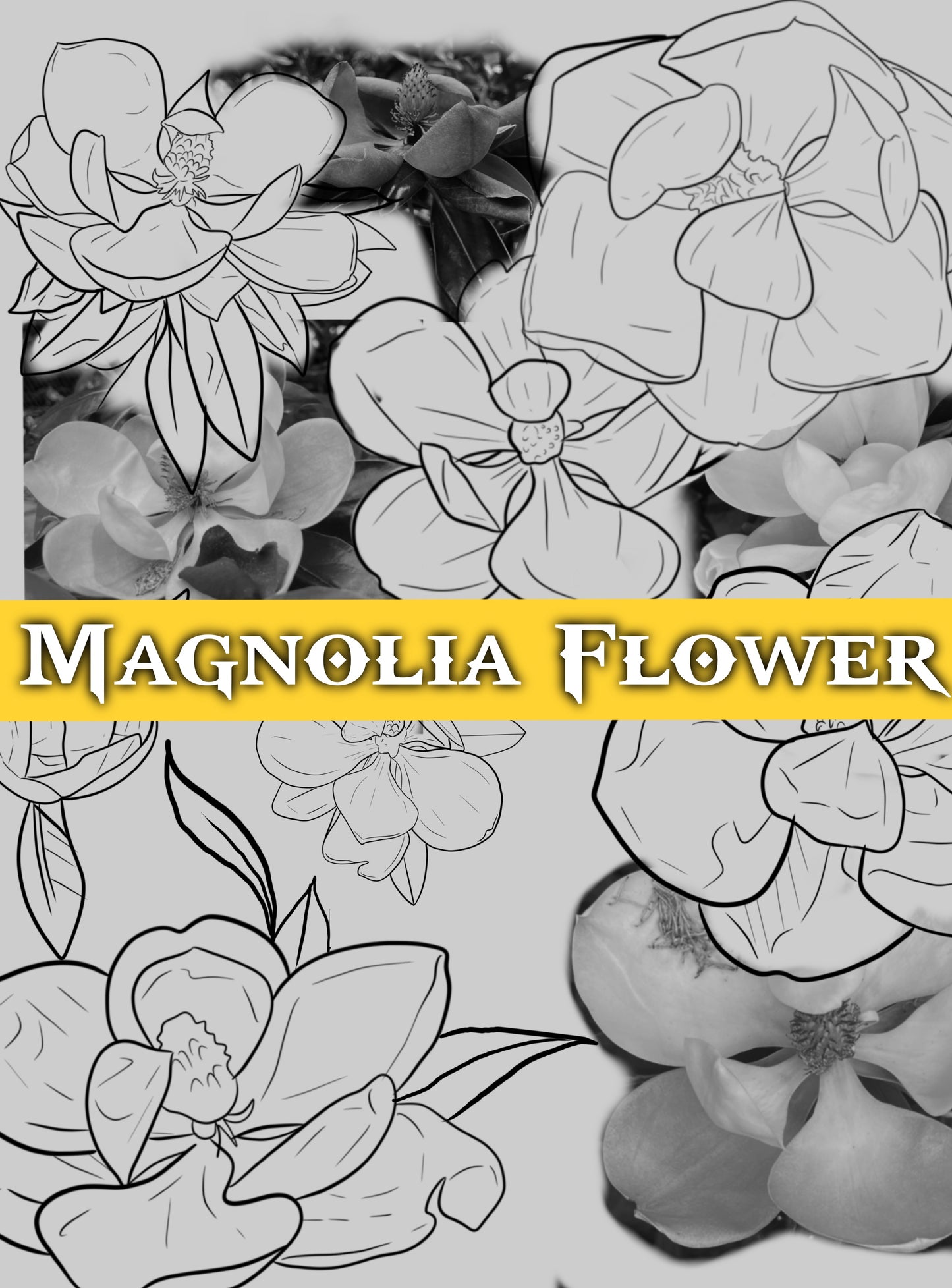 Magnolia flowers